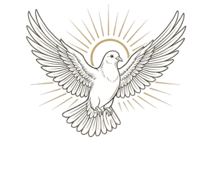DIvinitus Dove - Transparent